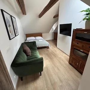 Aparthotel Masná 20 - Old Town, Praga